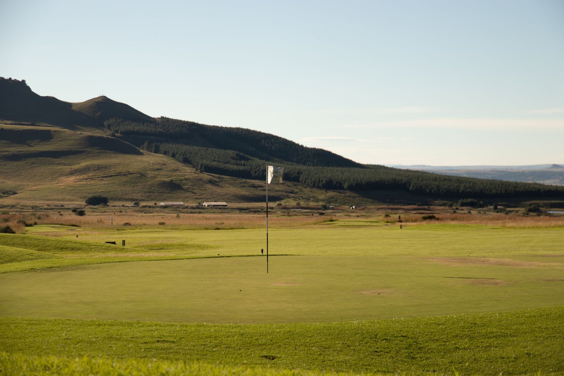 Synthetic Putting Greens in Avondale AZ